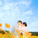 제주 하연 네이버블로그