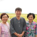 하점초등학교 이미지