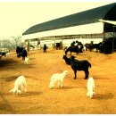 아버지농장 이미지