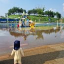 하남-신장-신장4호 이미지