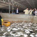 거제-거제-거제-비상-13 이미지