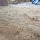 일동초병설유치원 이미지