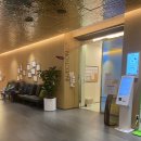 옵티마든든약국 | [시험관 #04]서울역 차병원 김유신교수님 과배란 주사, 조기배란억제제 추가, 나팔관 조영술