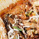 코다리안 이미지