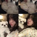 위시존개러지전주점 | 내 사랑 전주.. 전 (민)주고요.. (with 생활과 기록🏡)