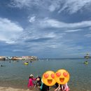 파니퍼니홈 이미지