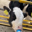 쌍둥농장 이미지