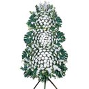 평촌역 1번출구 1-2 이미지