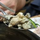 목동초마 이미지