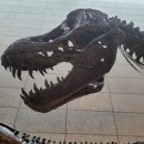 주식회사 티렉스 이미지