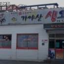 가야산오리 이미지