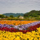 요산공원 이미지