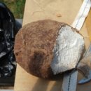 복룡농장 이미지