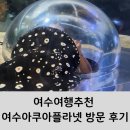 여수국동유탑관리 주식회사 | 여수여행추천 여수아쿠아플라넷 방문 후기