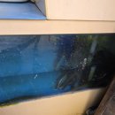 적성민물 이미지