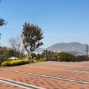 돌산공원 이미지