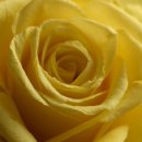 경희은한의원 이미지