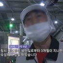 모참치 이미지