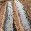 운호농장 이미지