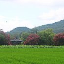 진주 용호정원 이미지