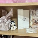 포포즈 반려동물장례식장 김포점 이미지