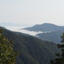 (주)비단길 이미지