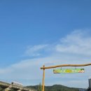 해바라기 | 의정부 신곡 새빛 정원 해바라기 축제 후기｜포토존 가득한 가을 나들이