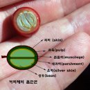 체리콩커피 이미지