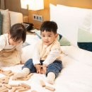 노보텔앰배서더 강남 이미지