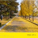 춘천교육대학교 이미지