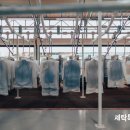 세탁인 이미지