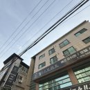 월 스트리트 애견유치원 이미지