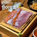 춘천순환로72번길 | 춘천 거두리 맛집 향어회 송어회 반반세트, 향어막회 내돈내산 솔직후기