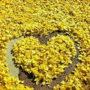 폭포산장 이미지