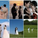 [W2. 야외웨딩스냅 예약] 유연스냅 예약 성공 후기 / 야외스냅 / 웨딩스냅 예약