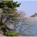 증평스포츠 이미지