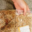 방달팽이 연구소 이미지