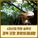 까망아제네팜