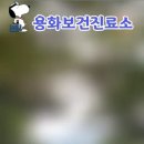 용화보건진료소 이미지