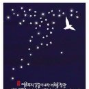 중앙-24 네이버블로그