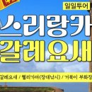 주식회사 여행투어 네이버블로그
