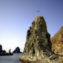 독도주차장 이미지