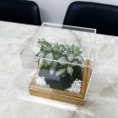 담초 | 이끼테라리움 담초 테라리움 삼나무 화이트스타 후기