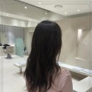 빈센트 헤어 이미지