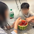 양평 몽이네 펜션A | 경기도 양평펜션 | 아이들이랑 여름휴가 가기 좋은 초록밤풀빌라펜션 후기