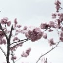 안심한의원 이미지