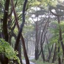 류*무 Daum카페
