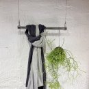 w소프트 이미지