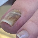 대덕대로168번길 이미지