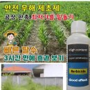 짱께 | 중국산 친환경 제초제
